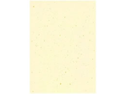 wCR[ Jbgy[p[  A4  120 002136311