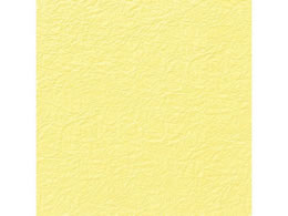 wCR[ a ̎q G{X NO.5 EXL 5 002108004