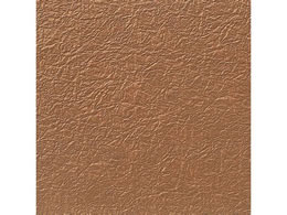 wCR[ a ̎q G{X NO.33 N 5 002108101