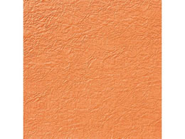 wCR[ a ̎q G{X NO.35 JL 5 002108102