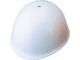 g[[ZteB wbg  MP^Cv NO.110-W