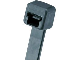 phECbg/NETISF ϋviC12oh(ό󐫃^Cv)