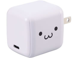 GR USB[d C~1 65W 낿 MPA-ACCP8565WF