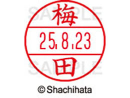 �V���`�n�^ �f�[�^�[�l�[��EX12���}�X�^�[�� ���� �~�c  XGL-12M-0395