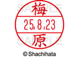 �V���`�n�^ �f�[�^�[�l�[��EX12���}�X�^�[�� ���� �~��  XGL-12M-0398