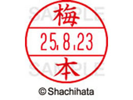 �V���`�n�^ �f�[�^�[�l�[��EX12���}�X�^�[�� ���� �~�{  XGL-12M-0400