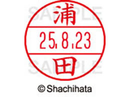 �V���`�n�^ �f�[�^�[�l�[��EX12���}�X�^�[�� ���� �Y�c  XGL-12M-0406