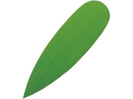 n o  1000  195~57 7867200