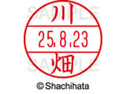 �V���`�n�^ �f�[�^�[�l�[��EX12���}�X�^�[�� ���� �씨  XGL-12M-0829