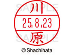 �V���`�n�^ �f�[�^�[�l�[��EX12���}�X�^�[�� ���� �쌴  XGL-12M-0831