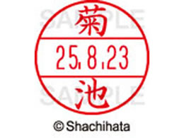 �V���`�n�^ �f�[�^�[�l�[��EX12���}�X�^�[�� ���� �e�r  XGL-12M-0889