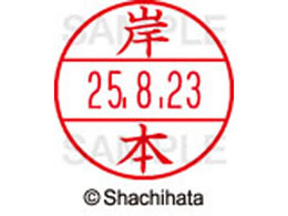 �V���`�n�^ �f�[�^�[�l�[��EX12���}�X�^�[�� ���� �ݖ{  XGL-12M-0894