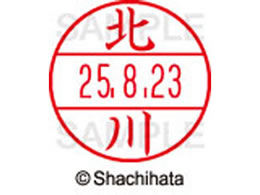 �V���`�n�^ �f�[�^�[�l�[��EX12���}�X�^�[�� ���� �k��  XGL-12M-0901