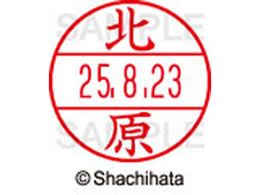 �V���`�n�^ �f�[�^�[�l�[��EX12���}�X�^�[�� ���� �k��  XGL-12M-0909