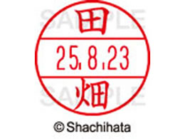 �V���`�n�^ �f�[�^�[�l�[��EX12���}�X�^�[������ �c��  XGL-12M-1394