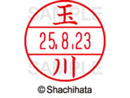 �V���`�n�^ �f�[�^�[�l�[��EX12���}�X�^�[������ �ʐ�  XGL-12M-1442