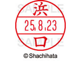 �V���`�n�^ �f�[�^�[�l�[��EX12���}�X�^�[������ �l��  XGL-12M-1648