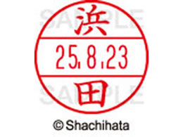 �V���`�n�^ �f�[�^�[�l�[��EX12���}�X�^�[������ �l�c  XGL-12M-1651