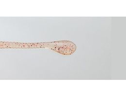 issei CY Xpe 3 #040 ILA~O[