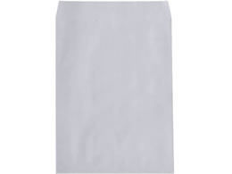 LOR[|[V p0 100g Z^[\ XJCu[ 500 010105