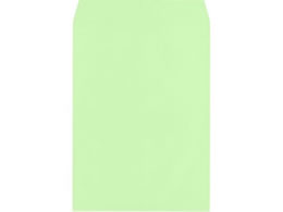 LOR[|[V pA4 VJ[ 85g X~\ EOCX 500