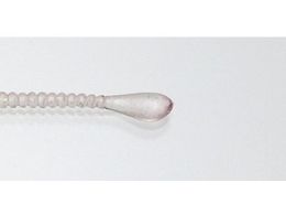 issei CY Xpe 1.5 #035 PCC{[