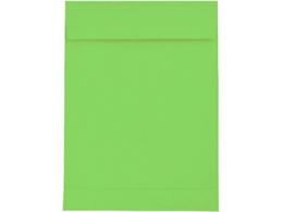 LOR[|[V p2 \ 120g O[ 100 100307