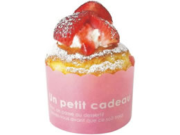 V J[}tB 100 sN CK41 2874710