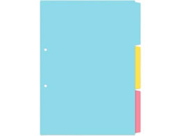 vX CfbNXV[g PP A4 2 3R1g 84841