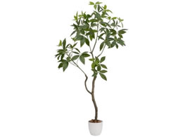 t@~[ECt G} CeAO[ pL 04571