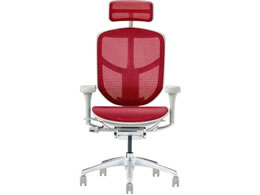 Ergohuman GSq[} GWC2 nC^Cv@bh 389599