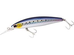 _C VACVCi[ZZbgAbp[145SDR [U[}CV