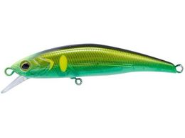 WbJ TM gR[ c 70HW #ǈt