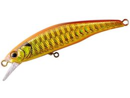 WbJ TM gR[ c 53HW #TCgAJL