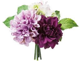 lfBXvC~[WA  _A~bNXo` x_[P