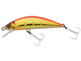 WbJ TM gR[ 47HW #ԋ}