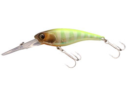 WbJ \EVbh62DDR SP #POL`[gobNu[M