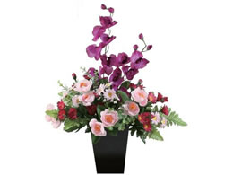 t@~[ECt ̊y G}H A[gt[ R[_ sN