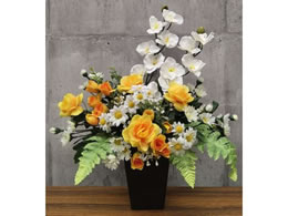 t@~[ECt ̊y G}H A[gt[ R[_ CG[