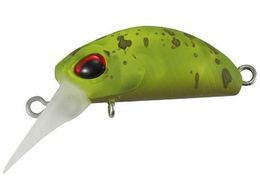 �f���I VK �N�[�K�i�m S #M112 �N���A�A�{�J�h