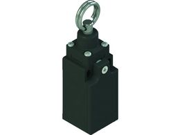 Pizzato ~bgXCb` FR^Cv6 [v76` FR 676