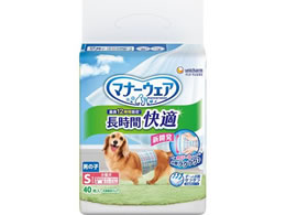 ���j�E�`���[�� �}�i�[�E�F�A ������ �I���c �j�̎q S 40��