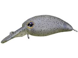 �W���b�J�� TM ���уp�j�N�� DR #���Ԓ�