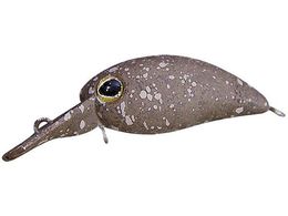 �W���b�J�� TM ���уp�j�N�� DR #�V���{�N��������