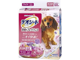 ���j�E�`���[�� �f�I�V�[�g ���L �t���[���� ���C�h 60��