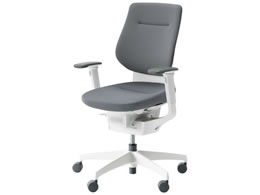 RN CO NbVwD IL VLX^[ CRGW3213E1G4E3V