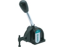 C}I XibvNv(_E^Cv) QLSND30-06