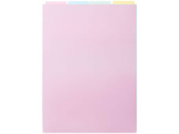 vX PASTY CfbNXV[g A4 4R1g FL-430P4