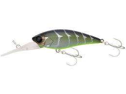 WbJ JK fB[rVbh55SR #oo^N݃N[