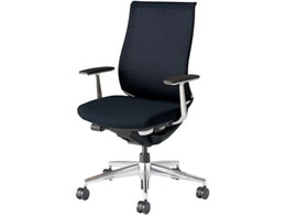 RN x[ f[g A~I A~r ubN VLX^[